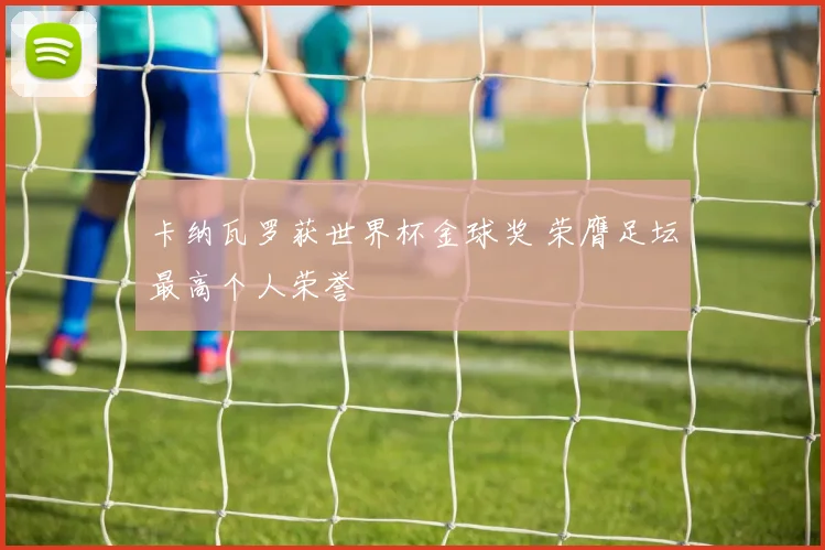 卡纳瓦罗获世界杯金球奖 荣膺足坛最高个人荣誉