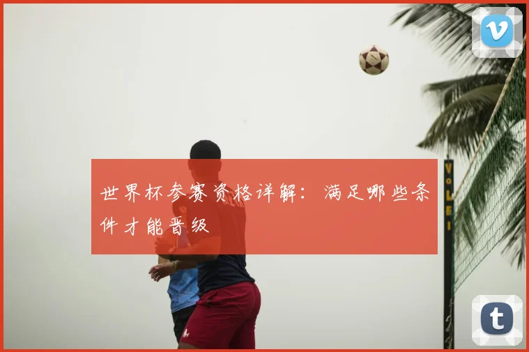 世界杯参赛资格详解:满足哪些条件才能晋级