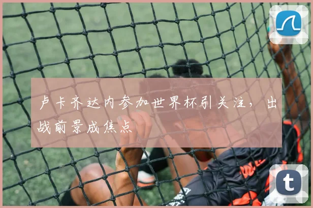 卢卡齐达内参加世界杯引关注,出战前景成焦点