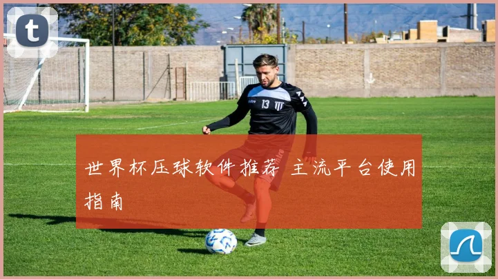 世界杯压球软件推荐 主流平台使用指南