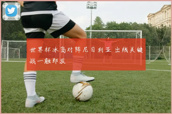 世界杯冰岛对阵尼日利亚 出线关键战一触即发